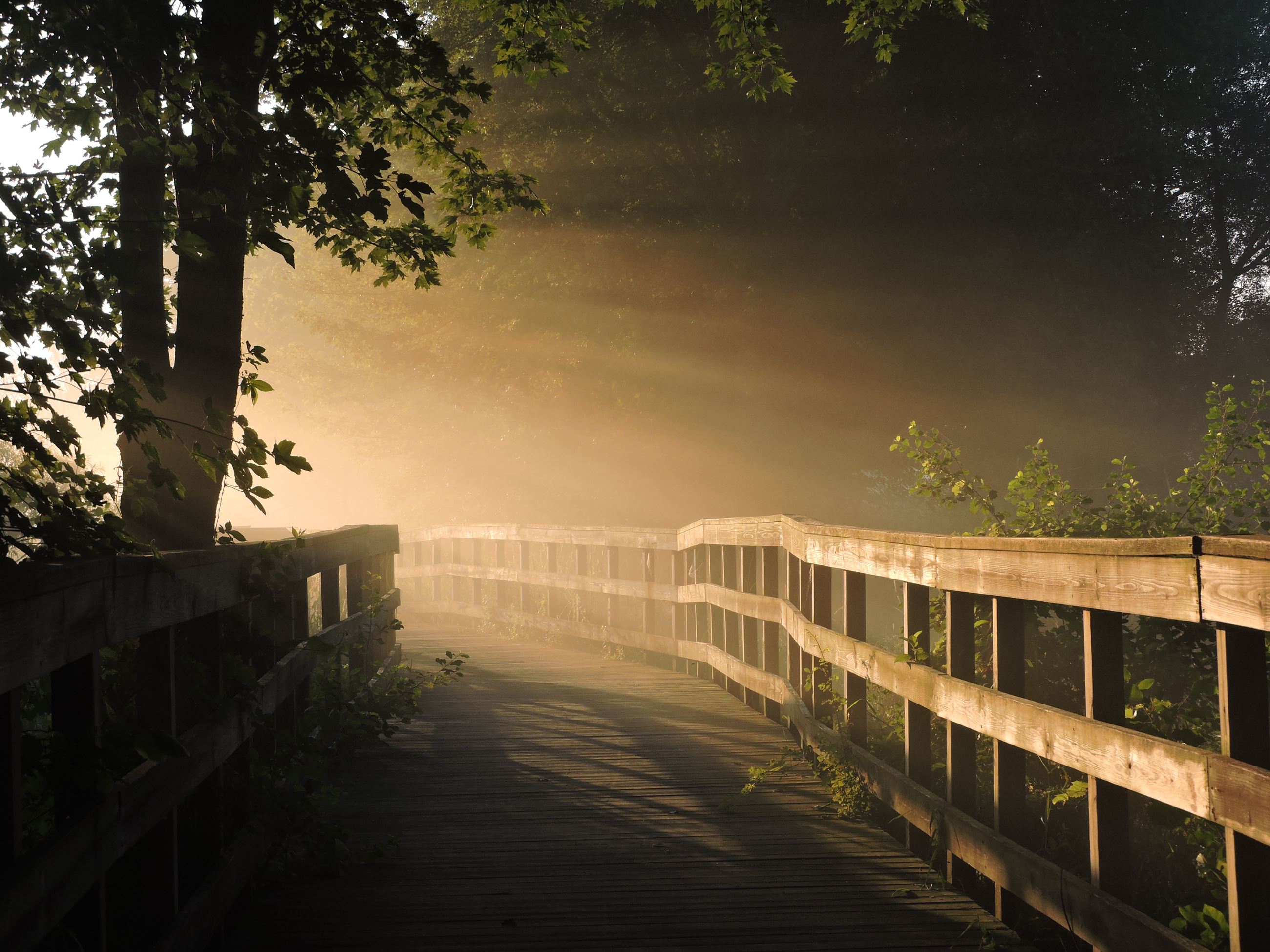 Bev Eshleman - Beyer Farm Trail